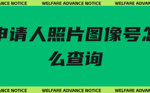 申请人照片图像号怎么查询