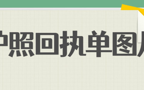 护照回执单图片