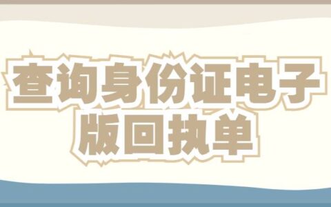 查询身份证电子版回执单
