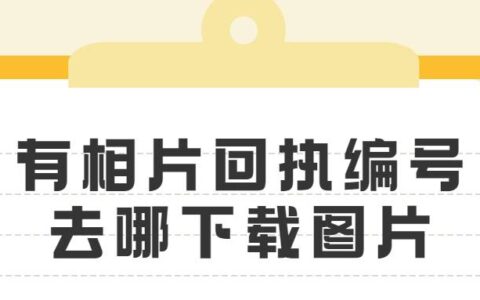 有相片回执编号去哪下载图片