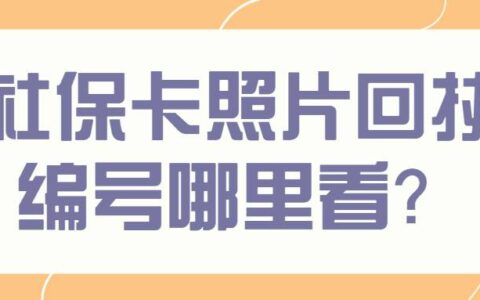 社保卡照片回执编号哪里看？
