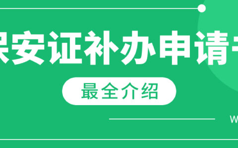保安证补办申请书