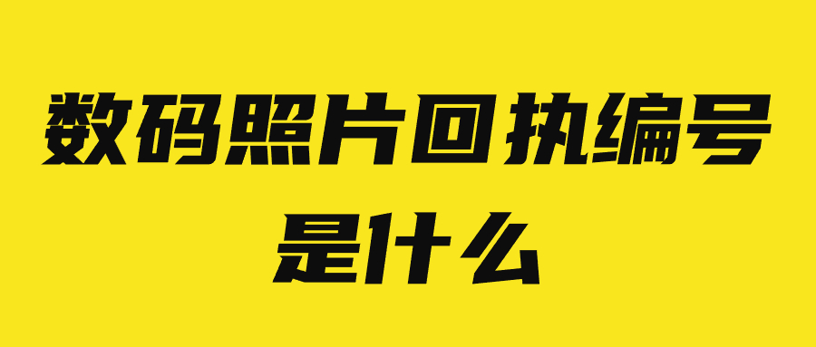 数码照片回执编号是什么