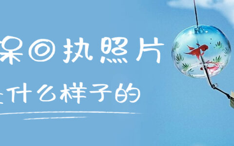 社保回执照片是什么样子的