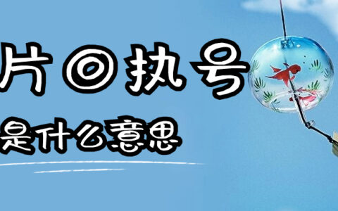 相片回执号是什么意思