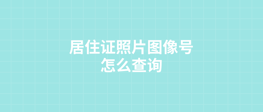 居住证照片图像号怎么查询