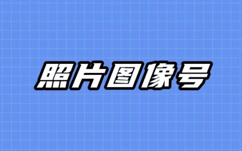 照片图像号怎么获取？使用手机轻松办理！