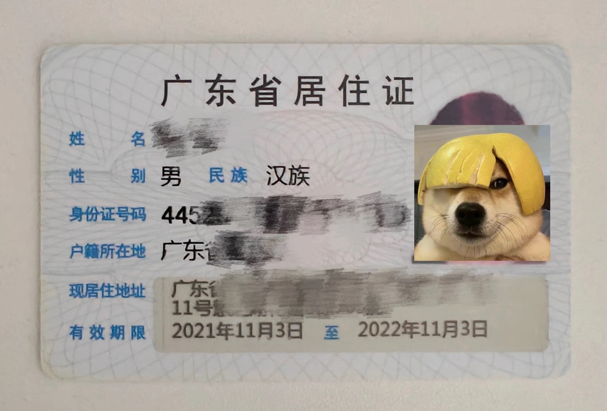 在东莞居住证过期很麻烦！续签攻略来啦！